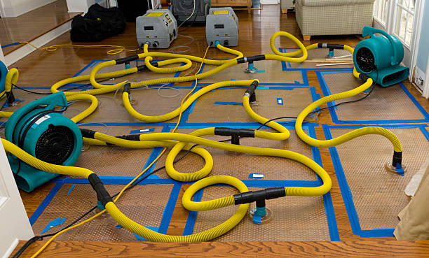 Professional Sewage Cleanup technician working in Londonderry, OH